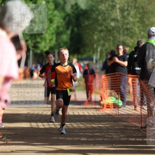 06.09.2026 - 20. Norderstedt Triathlon Mo-Foto http://msf.ph/oto/10156705 06.09.2026 09:44:41 Laufen 66 meine-sportfotos.de