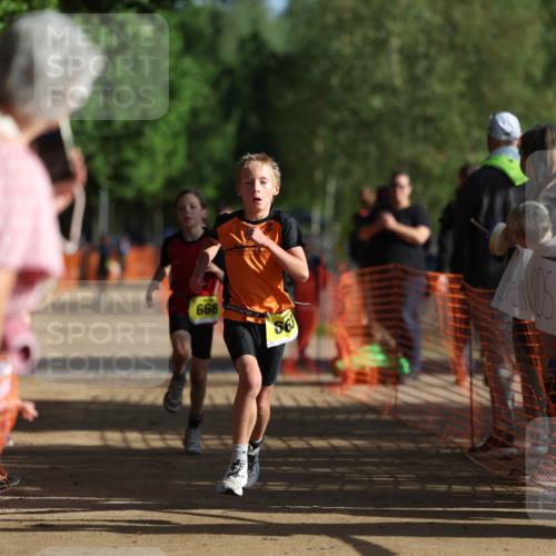 06.09.2026 - 20. Norderstedt Triathlon Mo-Foto http://msf.ph/oto/10156713 06.09.2026 09:44:42 Laufen 668 meine-sportfotos.de