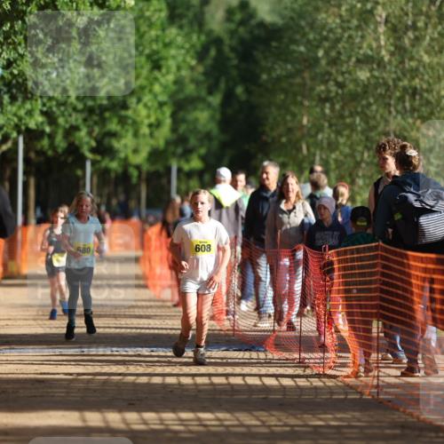 06.09.2026 - 20. Norderstedt Triathlon Mo-Foto http://msf.ph/oto/10157000 06.09.2026 09:46:31 Laufen 608, 680, 679, 679 meine-sportfotos.de