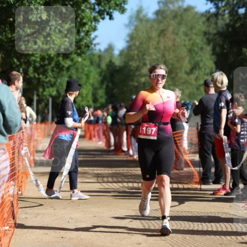 06.09.2026 - 20. Norderstedt Triathlon Mo-Foto http://msf.ph/oto/10158288 06.09.2026 10:34:12 Laufen 1197, 1197, 1197 meine-sportfotos.de