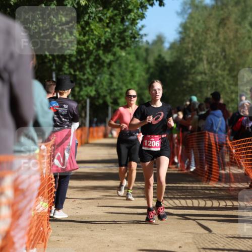 06.09.2026 - 20. Norderstedt Triathlon Mo-Foto http://msf.ph/oto/10158521 06.09.2026 10:36:10 Laufen 19, 1206, 1206, 1206, 1503, 1503 meine-sportfotos.de