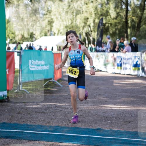 06.09.2026 - 20. Norderstedt Triathlon H.Heesch http://msf.ph/oto/10192524 06.09.2026 09:49:27 Ziel 611, 662, 663 meine-sportfotos.de