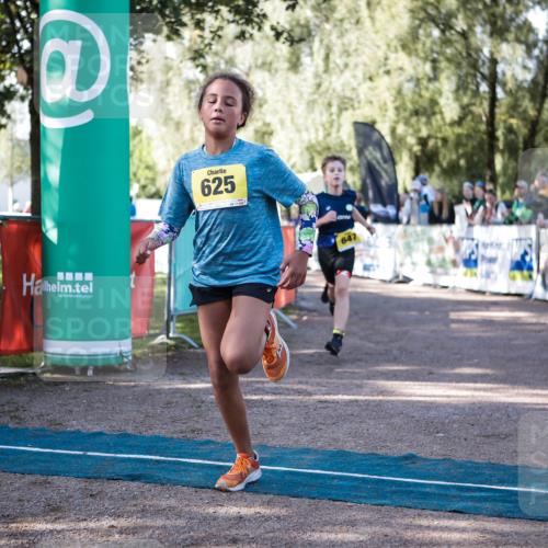 06.09.2026 - 20. Norderstedt Triathlon H.Heesch http://msf.ph/oto/10192844 06.09.2026 09:53:35 Ziel 625, 647, 679 meine-sportfotos.de