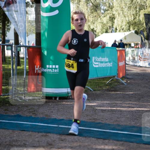 06.09.2026 - 20. Norderstedt Triathlon H.Heesch http://msf.ph/oto/10193039 06.09.2026 09:54:42 Ziel 684 meine-sportfotos.de