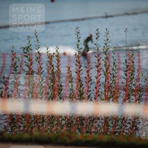 06.09.2026 - 20. Norderstedt Triathlon H.Heesch http://msf.ph/oto/10193206 06.09.2026 10:31:18 Ziel  meine-sportfotos.de