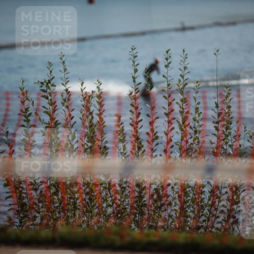 06.09.2026 - 20. Norderstedt Triathlon H.Heesch http://msf.ph/oto/10193208 06.09.2026 10:31:18 Ziel  meine-sportfotos.de