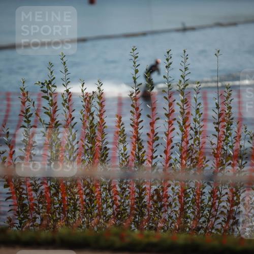 06.09.2026 - 20. Norderstedt Triathlon H.Heesch http://msf.ph/oto/10193209 06.09.2026 10:31:18 Ziel  meine-sportfotos.de