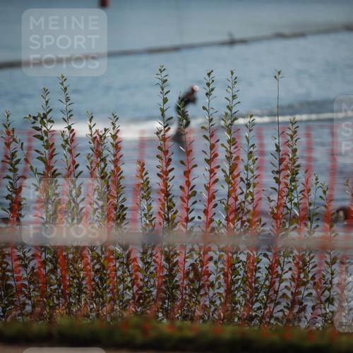06.09.2026 - 20. Norderstedt Triathlon H.Heesch http://msf.ph/oto/10193216 06.09.2026 10:31:18 Ziel  meine-sportfotos.de