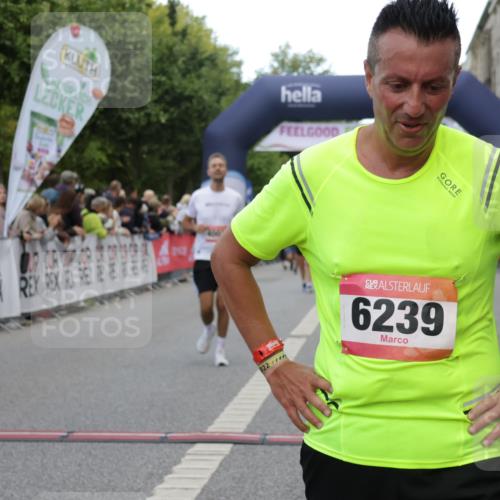 06.09.2026 - CURREX Alsterlauf Yannick Fuchs http://msf.ph/oto/10194464 06.09.2026 09:57:52 Ziel 2523, 2672, 2877, 2932, 2950, 3122, 4003, 4950, 5111, 5247, 5660, 5736, 5790, 5916, 6108, 6137, 6239 meine-sportfotos.de