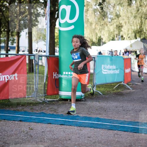 06.09.2026 - 20. Norderstedt Triathlon H.Heesch http://msf.ph/oto/10197309 06.09.2026 09:10:47 Ziel 14, 34, 35, 43 meine-sportfotos.de
