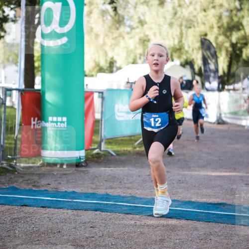 06.09.2026 - 20. Norderstedt Triathlon H.Heesch http://msf.ph/oto/10197835 06.09.2026 09:12:34 Ziel 12, 21, 29 meine-sportfotos.de