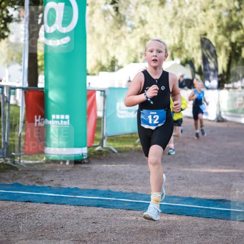 06.09.2026 - 20. Norderstedt Triathlon H.Heesch http://msf.ph/oto/10197837 06.09.2026 09:12:35 Ziel 12, 21, 29 meine-sportfotos.de