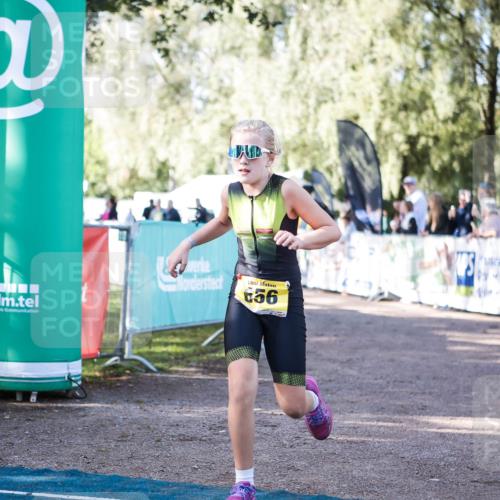 06.09.2026 - 20. Norderstedt Triathlon H.Heesch http://msf.ph/oto/10199244 06.09.2026 09:48:03 Ziel 633, 656, 673 meine-sportfotos.de