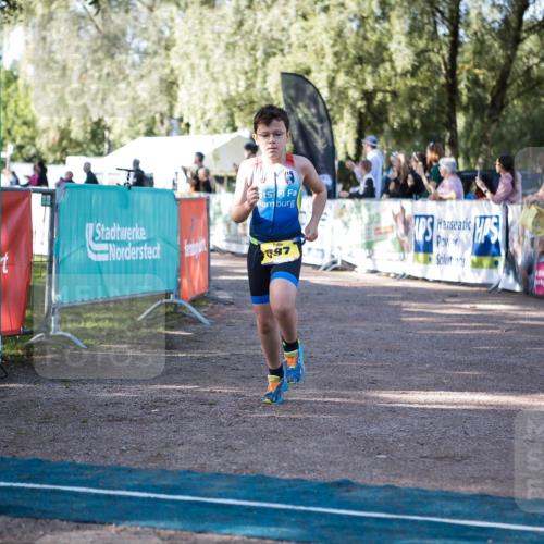 06.09.2026 - 20. Norderstedt Triathlon H.Heesch http://msf.ph/oto/10199305 06.09.2026 09:48:24 Ziel 697 meine-sportfotos.de