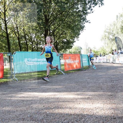 06.09.2026 - 20. Norderstedt Triathlon H.Heesch http://msf.ph/oto/10199495 06.09.2026 09:45:54 Ziel 604, 651, 655, 695 meine-sportfotos.de