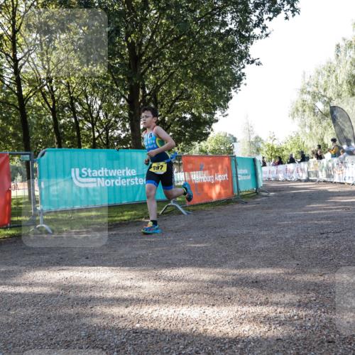 06.09.2026 - 20. Norderstedt Triathlon H.Heesch http://msf.ph/oto/10199523 06.09.2026 09:48:23 Ziel 697 meine-sportfotos.de