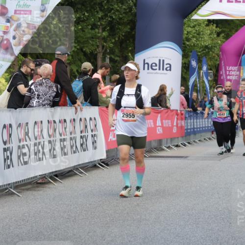 06.09.2026 - CURREX Alsterlauf Yannick Fuchs http://msf.ph/oto/10228042 06.09.2026 10:32:45 Ziel 3734 meine-sportfotos.de