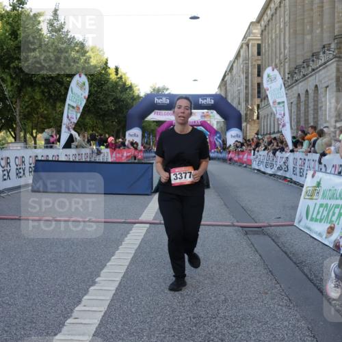 06.09.2026 - CURREX Alsterlauf Yannick Fuchs http://msf.ph/oto/10228182 06.09.2026 10:38:01 Ziel 3377, 3569 meine-sportfotos.de