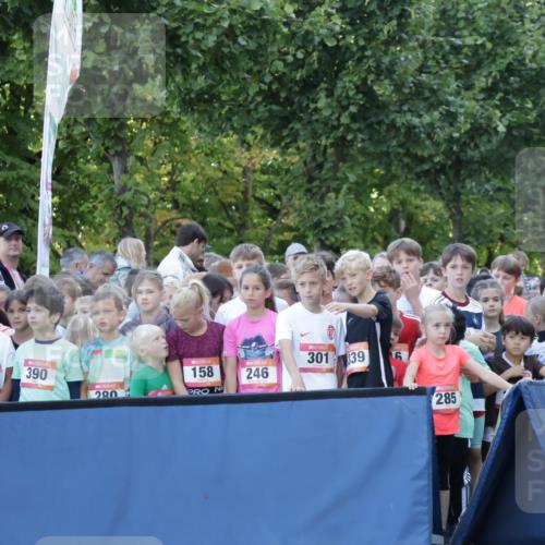06.09.2026 - CURREX Alsterlauf Yannick Fuchs http://msf.ph/oto/10228234 06.09.2026 10:46:45 Ziel  meine-sportfotos.de