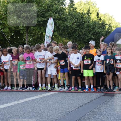 06.09.2026 - CURREX Alsterlauf Yannick Fuchs http://msf.ph/oto/10228245 06.09.2026 10:48:06 Ziel  meine-sportfotos.de