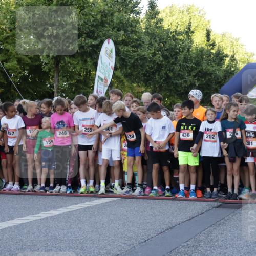 06.09.2026 - CURREX Alsterlauf Yannick Fuchs http://msf.ph/oto/10228246 06.09.2026 10:48:07 Ziel  meine-sportfotos.de