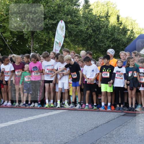 06.09.2026 - CURREX Alsterlauf Yannick Fuchs http://msf.ph/oto/10228247 06.09.2026 10:48:07 Ziel  meine-sportfotos.de