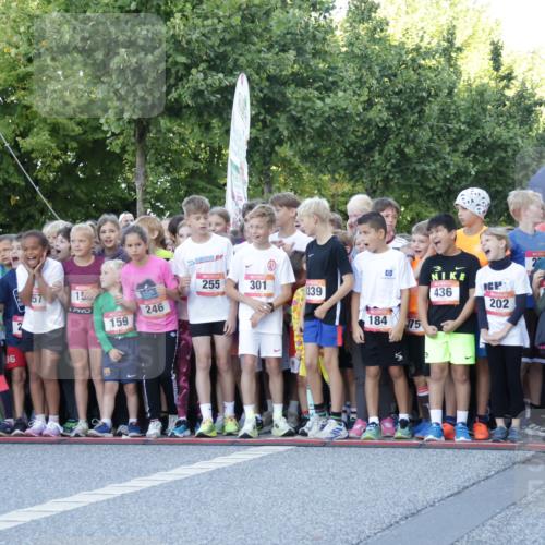 06.09.2026 - CURREX Alsterlauf Yannick Fuchs http://msf.ph/oto/10228261 06.09.2026 10:48:22 Ziel  meine-sportfotos.de