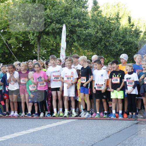 06.09.2026 - CURREX Alsterlauf Yannick Fuchs http://msf.ph/oto/10228262 06.09.2026 10:48:22 Ziel  meine-sportfotos.de
