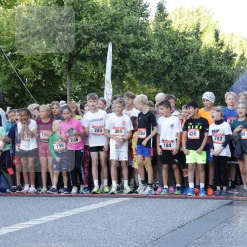 06.09.2026 - CURREX Alsterlauf Yannick Fuchs http://msf.ph/oto/10228263 06.09.2026 10:48:22 Ziel  meine-sportfotos.de