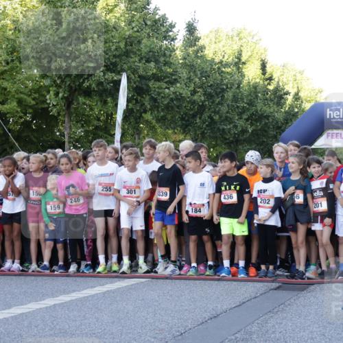 06.09.2026 - CURREX Alsterlauf Yannick Fuchs http://msf.ph/oto/10228264 06.09.2026 10:48:23 Ziel  meine-sportfotos.de