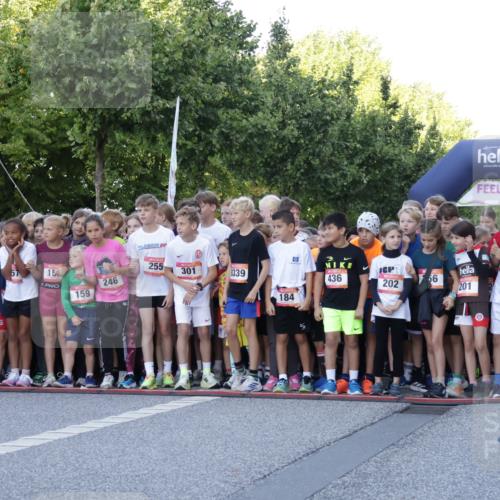 06.09.2026 - CURREX Alsterlauf Yannick Fuchs http://msf.ph/oto/10228267 06.09.2026 10:48:24 Ziel  meine-sportfotos.de