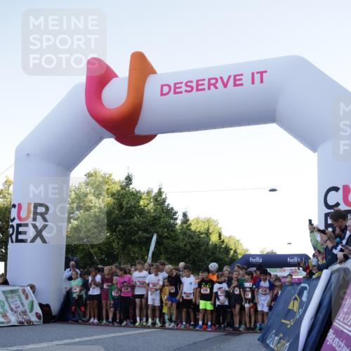 06.09.2026 - CURREX Alsterlauf Yannick Fuchs http://msf.ph/oto/10228269 06.09.2026 10:48:28 Ziel  meine-sportfotos.de