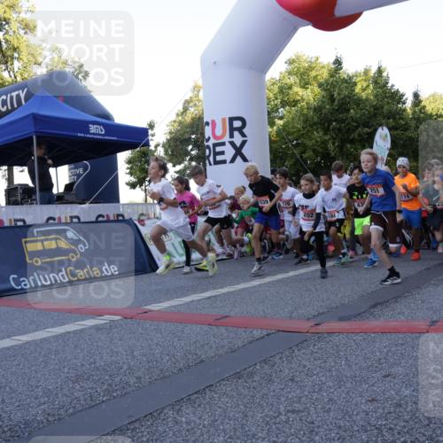 06.09.2026 - CURREX Alsterlauf Yannick Fuchs http://msf.ph/oto/10228273 06.09.2026 10:48:42 Ziel  meine-sportfotos.de