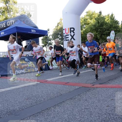 06.09.2026 - CURREX Alsterlauf Yannick Fuchs http://msf.ph/oto/10228275 06.09.2026 10:48:42 Ziel  meine-sportfotos.de
