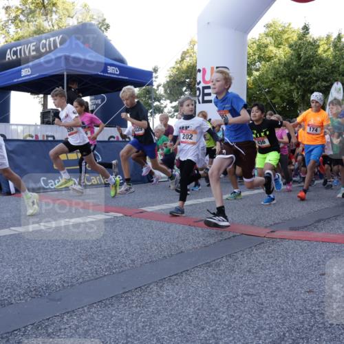 06.09.2026 - CURREX Alsterlauf Yannick Fuchs http://msf.ph/oto/10228276 06.09.2026 10:48:42 Ziel  meine-sportfotos.de