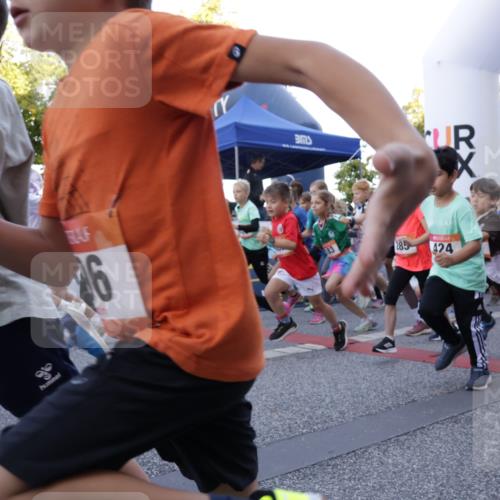 06.09.2026 - CURREX Alsterlauf Yannick Fuchs http://msf.ph/oto/10228283 06.09.2026 10:48:45 Ziel  meine-sportfotos.de