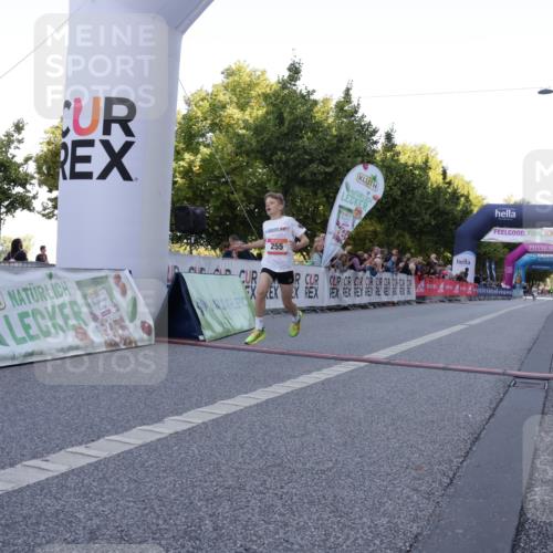 06.09.2026 - CURREX Alsterlauf Yannick Fuchs http://msf.ph/oto/10228294 06.09.2026 10:52:04 Ziel 255 meine-sportfotos.de