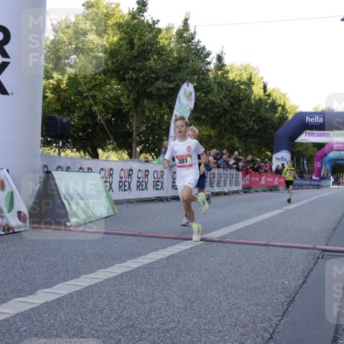 06.09.2026 - CURREX Alsterlauf Yannick Fuchs http://msf.ph/oto/10228311 06.09.2026 10:52:15 Ziel 252, 301, 8339 meine-sportfotos.de