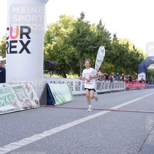 06.09.2026 - CURREX Alsterlauf Yannick Fuchs http://msf.ph/oto/10228324 06.09.2026 10:52:20 Ziel 200, 252, 301, 8339 meine-sportfotos.de