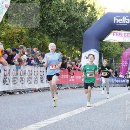 06.09.2026 - CURREX Alsterlauf Yannick Fuchs http://msf.ph/oto/10228340 06.09.2026 10:52:34 Ziel 161, 174, 213, 307, 316 meine-sportfotos.de