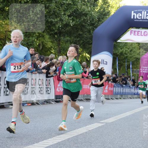 06.09.2026 - CURREX Alsterlauf Yannick Fuchs http://msf.ph/oto/10228341 06.09.2026 10:52:35 Ziel 161, 174, 213, 307, 316 meine-sportfotos.de