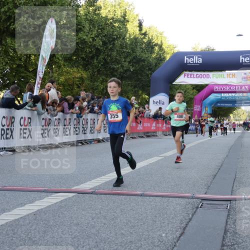 06.09.2026 - CURREX Alsterlauf Yannick Fuchs http://msf.ph/oto/10228381 06.09.2026 10:52:46 Ziel 182, 184, 268, 281, 293, 355, 408, 409, 452 meine-sportfotos.de