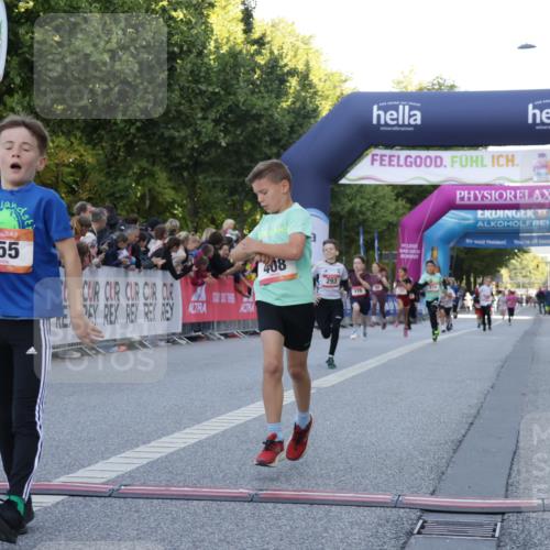 06.09.2026 - CURREX Alsterlauf Yannick Fuchs http://msf.ph/oto/10228383 06.09.2026 10:52:47 Ziel 178, 182, 184, 268, 281, 293, 355, 408, 409, 452 meine-sportfotos.de