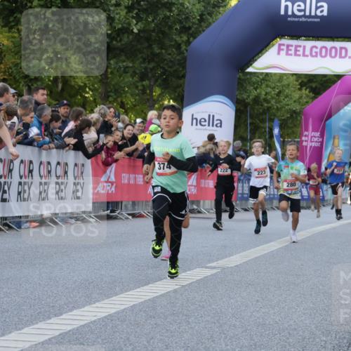 06.09.2026 - CURREX Alsterlauf Yannick Fuchs http://msf.ph/oto/10228394 06.09.2026 10:52:51 Ziel 151, 178, 184, 222, 223, 250, 280, 281, 293, 355, 374, 388, 408, 452 meine-sportfotos.de