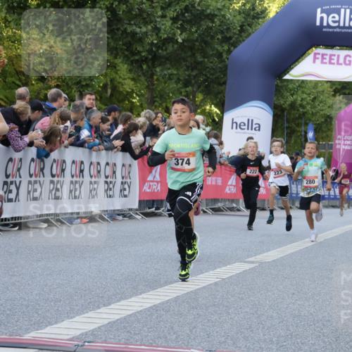 06.09.2026 - CURREX Alsterlauf Yannick Fuchs http://msf.ph/oto/10228396 06.09.2026 10:52:51 Ziel 151, 178, 184, 222, 223, 250, 280, 281, 293, 355, 374, 388, 408, 452 meine-sportfotos.de