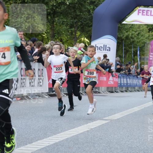 06.09.2026 - CURREX Alsterlauf Yannick Fuchs http://msf.ph/oto/10228399 06.09.2026 10:52:53 Ziel 151, 178, 222, 223, 250, 280, 281, 293, 355, 374, 388, 408, 452 meine-sportfotos.de