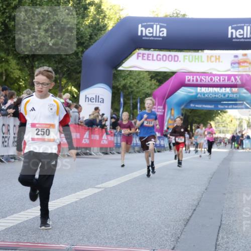 06.09.2026 - CURREX Alsterlauf Yannick Fuchs http://msf.ph/oto/10228408 06.09.2026 10:52:55 Ziel 151, 158, 178, 222, 223, 250, 251, 280, 293, 374, 388, 408, 430 meine-sportfotos.de
