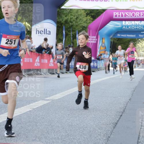 06.09.2026 - CURREX Alsterlauf Yannick Fuchs http://msf.ph/oto/10228417 06.09.2026 10:52:58 Ziel 151, 158, 178, 222, 223, 250, 251, 280, 282, 374, 388, 430 meine-sportfotos.de