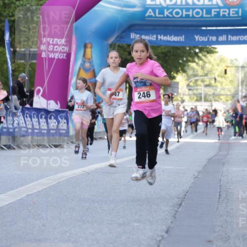 06.09.2026 - CURREX Alsterlauf Yannick Fuchs http://msf.ph/oto/10228422 06.09.2026 10:52:59 Ziel 151, 158, 178, 222, 223, 246, 250, 251, 280, 282, 374, 388, 430 meine-sportfotos.de