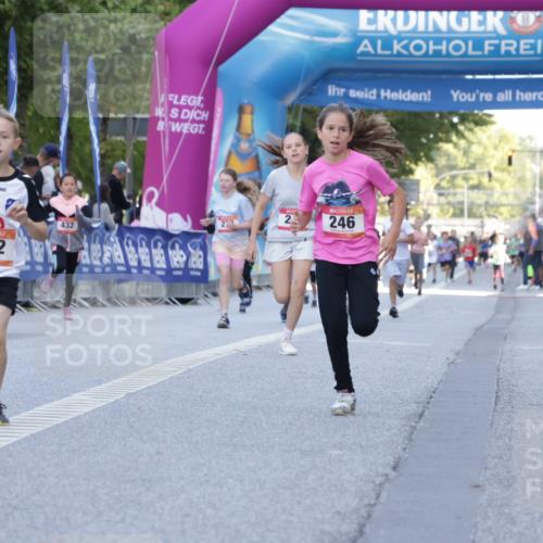 06.09.2026 - CURREX Alsterlauf Yannick Fuchs http://msf.ph/oto/10228423 06.09.2026 10:52:59 Ziel 151, 158, 178, 222, 223, 246, 250, 251, 280, 282, 374, 388, 430 meine-sportfotos.de